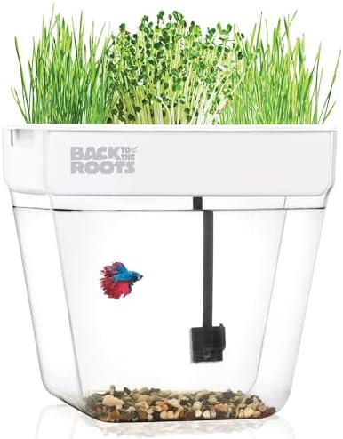Back to the Roots Indoor Aquaponic Garden - 3 Gallon Self Watering, Mess-Free Planter and Self-Cleaning Fishtank for Herbs, Microgreens, Bamboo, Succulents, and Houseplants, support Fish