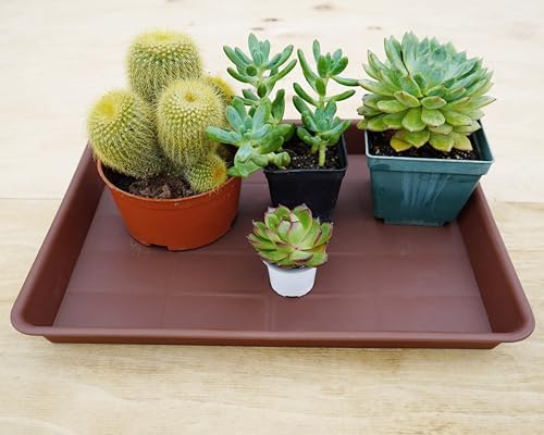 VUWEZ Plant Growing Trays 4 Pack, Plant Tray, 14.5"x11", Heavy Sturdy Plastic Plant Saucer Seed Trays, Seedling Starter Tray, Plant Drip Trays for Indoors, Seed Starter Growing Tray (Chocolate)