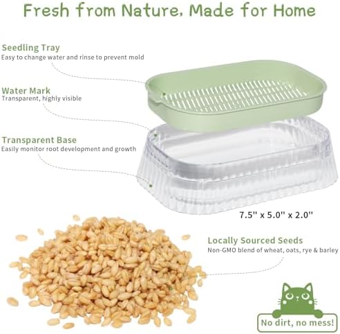 Cat Grass for Indoor Cats with 5Pack Non GMO Seeds, Organic Grass Growing Kit, Soil-Free Planter, Perfect for Beginners, Ideal Birthday Gift for Cat Lovers