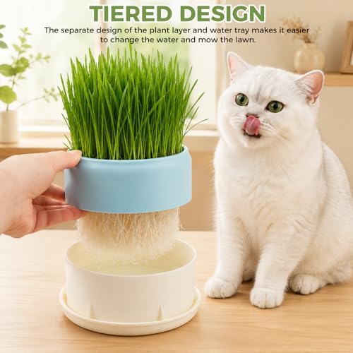 Hydroponic Cat Grass Planter, Plastic Catnip Cat Grass Box 5.31"x2.56", Soil-Free Anti-Digging Planting Trays, Wheatgrass Growing Pot for Indoor Cats Pets (Blue)