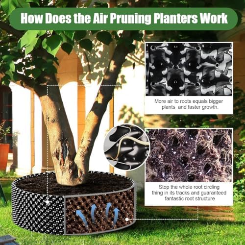 RooTrimmer Air Pruning Containers, 40 Gallon Air Pruning Planters, Sturdy Plastic Roots Control Planter Container for Tree Grow Outdoor, Garden Self-Planting Planters, Size 24"x24", Black, 2P