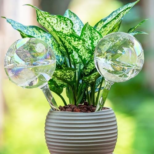 Glass Plant Watering Device, Planter Self Watering Globes for Home Potting