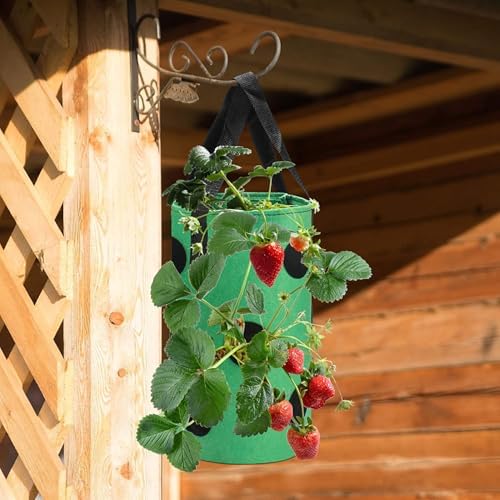 Upside Down Tomato Planter-3 Gallon Hanging Strawberry Planter Durable Aeration Fabric Grow Bags for Vegetables (Set of 2- Red and Green)