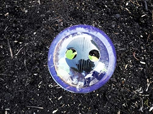 12-Pack! GrowAway™ Small Reusable Plastic Mini Greenhouse, Garden Cloche Dome, Plant Covers Frost Guard Freeze Protection for Plants Outdoors, Garden Tools, Garden Accessories - 7.87"Diam. x 6.69"H