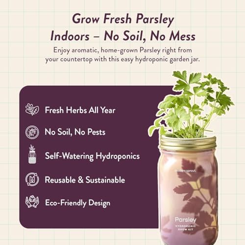 Modern Sprout Mason Garden Jar - Self-Watering Hydroponics Kit - Parsley