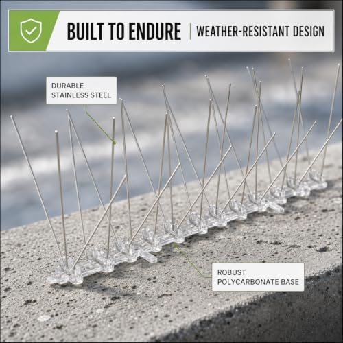 Bird-X Stainless Steel Bird Spikes, 8-inch Extra-Wide Spikes, Bird Spikes for Pigeons and Other Small Birds, Easy to Install, Contains 2 ft. Strips, Covers 10 Linear Feet Area, EWS-10