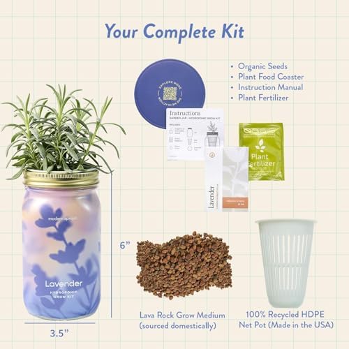 Modern Sprout Mason Garden Jar - Self-Watering Hydroponics Kit - Lavender