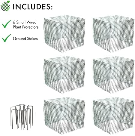 6 New Small Wire Plant Protectors, 12" Square, 12" high (Vinyl Coated Rust Resistant Wire)