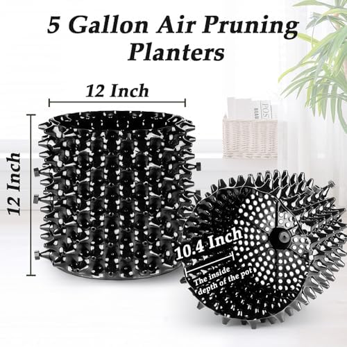 RooTrimmer Air Pruning Planters 5 Gallon 6-Pack, Sturdy Plastic Roots Control Planter Container for Fruit Vegetable Garden Orchard, Size 12"x12",Black