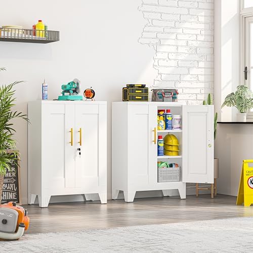 Small Metal Storage Cabinet, Lockable Tool Cabinet with Doors and 2 Shelves