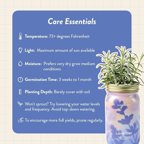 Modern Sprout Mason Garden Jar - Self-Watering Hydroponics Kit - Lavender