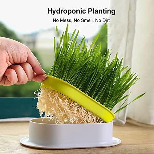 Cat Grass Planter (No Seeds Included) Wheatgrass Planting Trays Hydroponic Cat Grass Growing Kits for Indoor Cats Soilless Organic Nursery Box Pet Grass Pot (F)