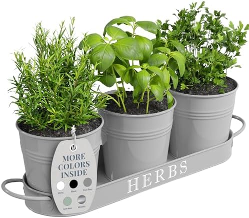 Barnyard Designs Indoor Herb Garden Planter Pots Set/3 (Cool Grey)