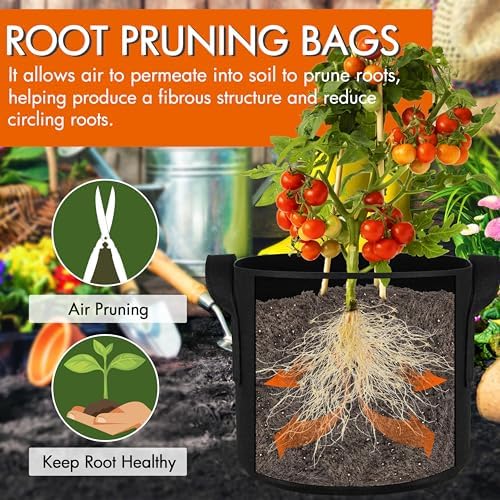 Gardzen 6-Pack 2 Gallon Grow Bags Fabric Pots with Heavy Duty Handles