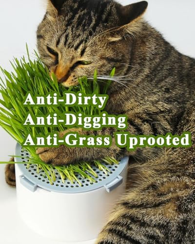 2Pcs Hydroponic Cat Grass Planter (no Seeds Included) for Indoor Cat