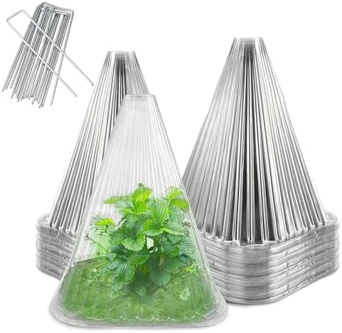 Garden Cloches for Plants - Reusable Clear Plant Protectors, PET Plant Bell CoverFrost & Pest Protection for Vegetables, Seedlings, Outdoor Gardens (Transparent,30)