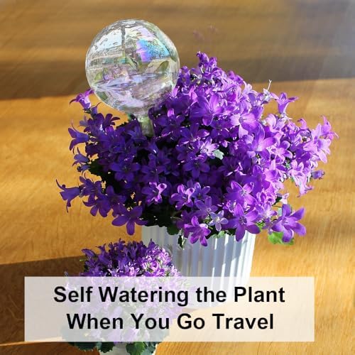 Glass Plant Watering Device, Planter Self Watering Globes for Home Potting