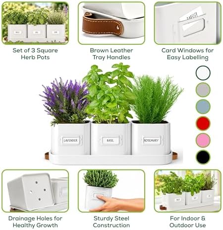 volila Herb Planter Indoor - Set of 3 Warmstone Indoor Herb Garden Pots for Plants with Leather Handled Tray - Window Sill Plant Shelf - Herb Pots with Drainage Holes and Labels