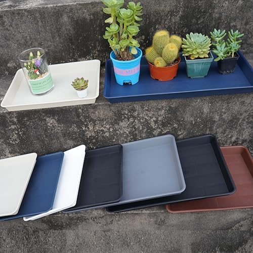 VUWEZ 2 Pack Plant Growing Nursery 1020 Trays, Plant Saucer Tray, Heavy Sturdy Seed Starting Trays, Plant Starter Trays for Indoors No Holes, Seed Starter Growing Tray (22"x11.2", Blue)
