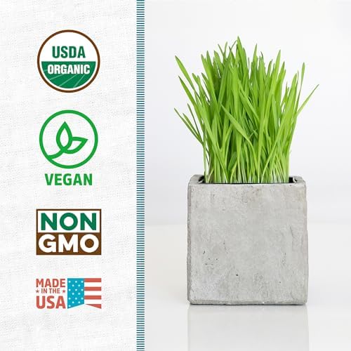 Back to the Roots 100% Organic Wheatgrass Seeds | 1 Pound Non-GMO | Nutrient Dense, Easy to Grow | Cat Grass Planter Seeds