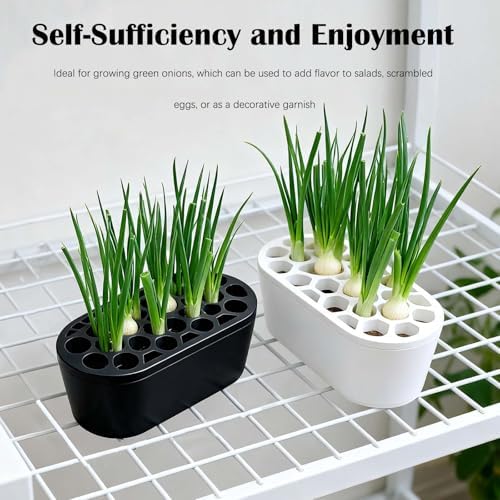 3D Printed Green Onion Planter Trays | Plant Propagation and Seedling Starter Trays for Indoor Gardening | Reusable Nursery Pots for Home, Office, Dorm (Black)