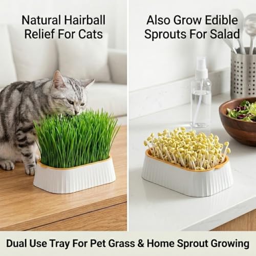 Organic Cat Grass Planter Indoor Hydroponic Wheatgrass Seed Sprout Tray