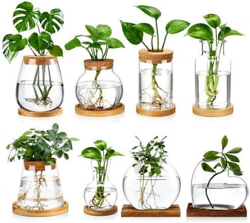 Honeydak 8 Pcs Plants Propagation Stations Desktop Glass Propagation Vases