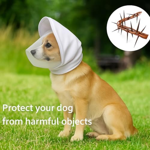 Dog Mask for Outdoor Safety - Vet-Recommended Mesh Field Guard for Protection Against Foxtails, Grass Seeds and Debris | Breathable, Lightweight, Adjustable Buckle Design,Black（XL）
