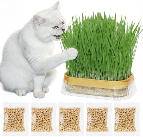 Hydroponic Cat Grass Grow Kit with 5 Pack Non GMO Wheat Seeds, Cat Grass for Indoor Cats, Organic Grass Growing Kit, Soil-Free Planter, Perfect for Beginners, Cats Gifts