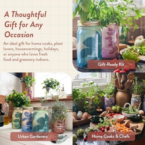 Modern Sprout Mason Garden Jar - Self-Watering Hydroponics Kit - Rosemary