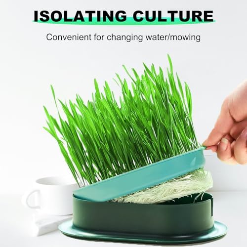 3Pcs Cat Grass Planter, Plastic Wheatgrass Planting Trays Hydroponic Cat Grass Growing Kits for Indoor Cats Soilless Nursery Box Pet Grass Pot (3 Color)