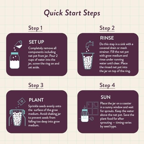 Modern Sprout Mason Garden Jar - Self-Watering Hydroponics Kit - Parsley