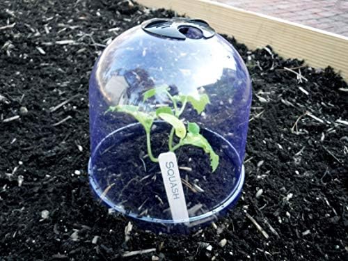 12-Pack! GrowAway™ Small Reusable Plastic Mini Greenhouse, Garden Cloche Dome, Plant Covers Frost Guard Freeze Protection for Plants Outdoors, Garden Tools, Garden Accessories - 7.87"Diam. x 6.69"H