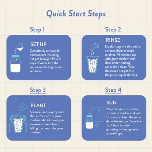Modern Sprout Mason Garden Jar - Self-Watering Hydroponics Kit - Mint