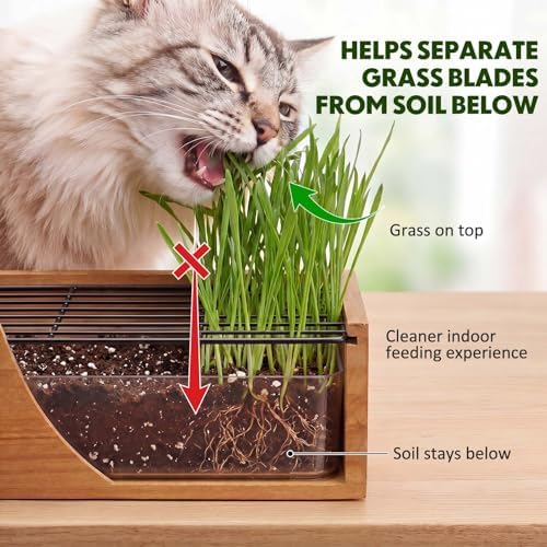 Wooden Cat Grass Planter for Indoor Cats, Wheat Grass Pot Kit with Soil Disks, Removable Anti-Digging Grid, Plastic Liner, No Seeds Included, Natural Wood, 12.6 x 4.7 x 4.3 in