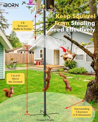 iBorn Squirrel Baffle for Bird Feeder Pole, 19.6” Oversized Squirrel Guard Defender, Bird Feeder for Outdoors Protector, Polycarbonate(PC), Pack of 1, Clear