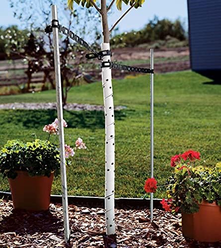 Master Mark Plastic Tree Wrap, Tree Trunk Protector, 2 Pack Spiral Guard