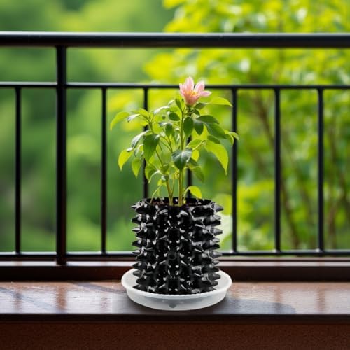 RooTrimmer 1 Gallon Air Pruning Containers, New Plastic Nursery Pots, Fruit Vegetable Garden Self-Planting Pots, Black (1G-10P)