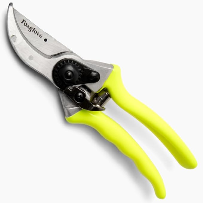 Foxglove 8.5" Pruning Shears – Professional Garden Shears & Bypass Hand Pruners with Japanese SK5 High Carbon Steel Blades, Heavy Duty Garden Clippers & Gardening Tools