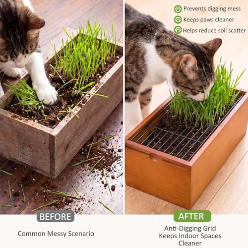 Wooden Cat Grass Planter for Indoor Cats, Wheat Grass Pot Kit with Soil Disks, Removable Anti-Digging Grid, Plastic Liner, No Seeds Included, Natural Wood, 12.6 x 4.7 x 4.3 in