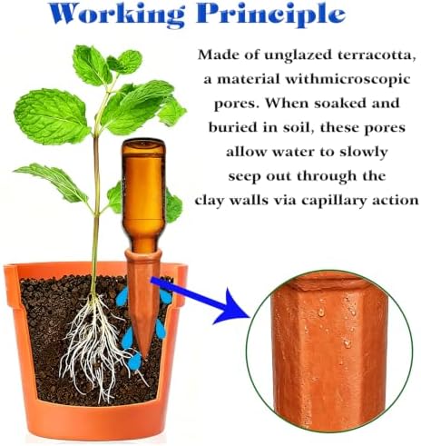 Terracotta Plant Watering Devices, Outdoor Indoor Plant Self Waterer Spikes