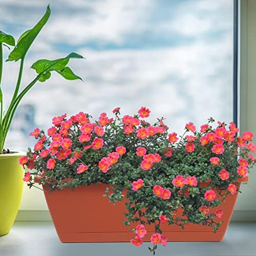 8pcs Window Box Planter,Rectangle Planters Box,Plastic Vegetable Planters