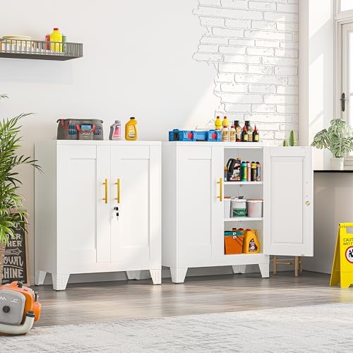 Small Metal Storage Cabinet, Lockable Tool Cabinet with Doors and 2 Shelves