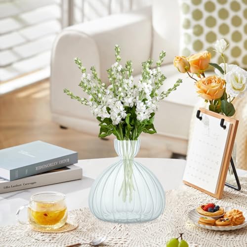 Large Avocado Grow Vase Glass Striped Acorn Seed Starter Vase for Growing