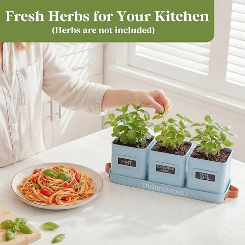 PERFNIQUE Indoor Herb Garden, Herb Garden Planter Set with Tray, Farmhouse Indoor Plant Pots, Windowsill Herb Garden with Drainage(Planter only) for Indoor/Outdoor, Window Pots(Sky Blue)