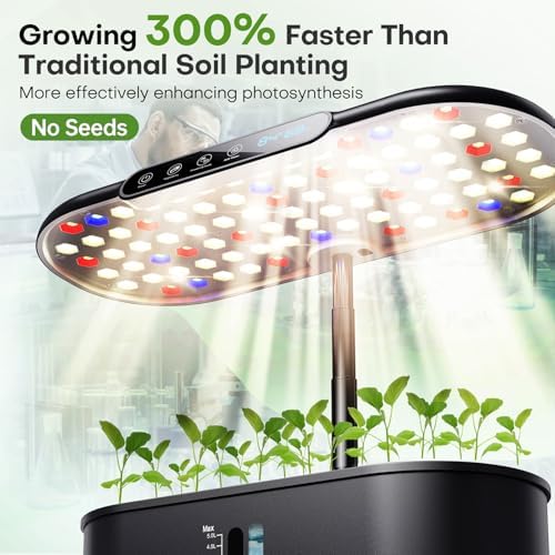 Ahopegarden Hydroponics Growing System Kit: 12 Pods Temp & Humidity Monitor