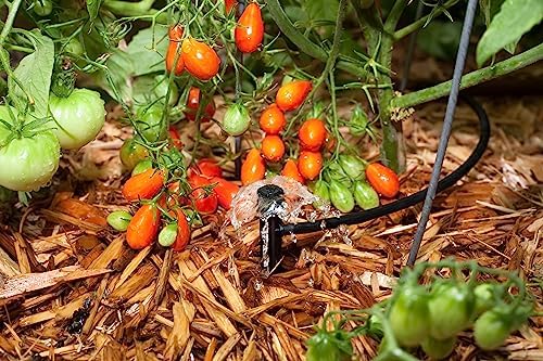 Rain Bird MUF-SPK4S Drip Irrigation Micro-Umbrella Bubbler on Stake, 360° Full Circle Pattern, 0-3' Spray Distance, 12-Pack