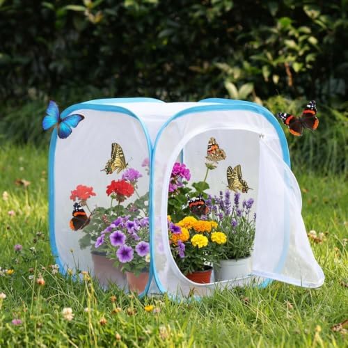 Insect & Butterfly Habitat Cage, Portable Pop-Up Terrarium with Mesh Sides, Bug Catching & Observation Enclosure for Caterpillars, Small Insects, Outdoor & Classroom Use, 24 Inches Tall