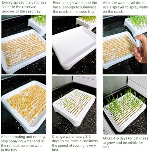 2-Pack Cat Grass Planter (No Seeds Included), Tri-Section Design, Anti-Pull Out Cat Grass Seed Starter Tray, Sprouts Growing Kit, Microgreens Growing Trays
