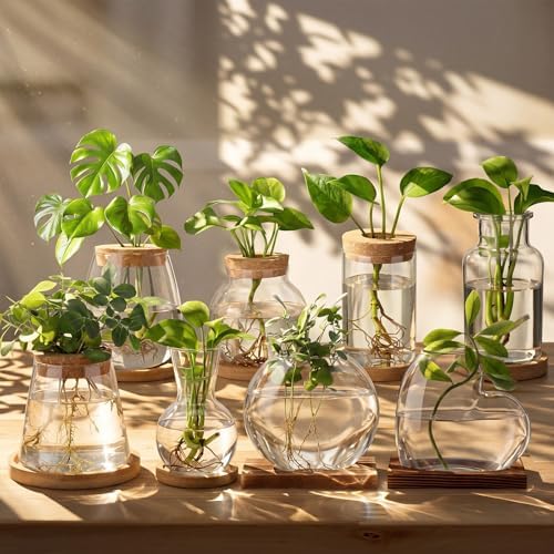 Honeydak 8 Pcs Plants Propagation Stations Desktop Glass Propagation Vases